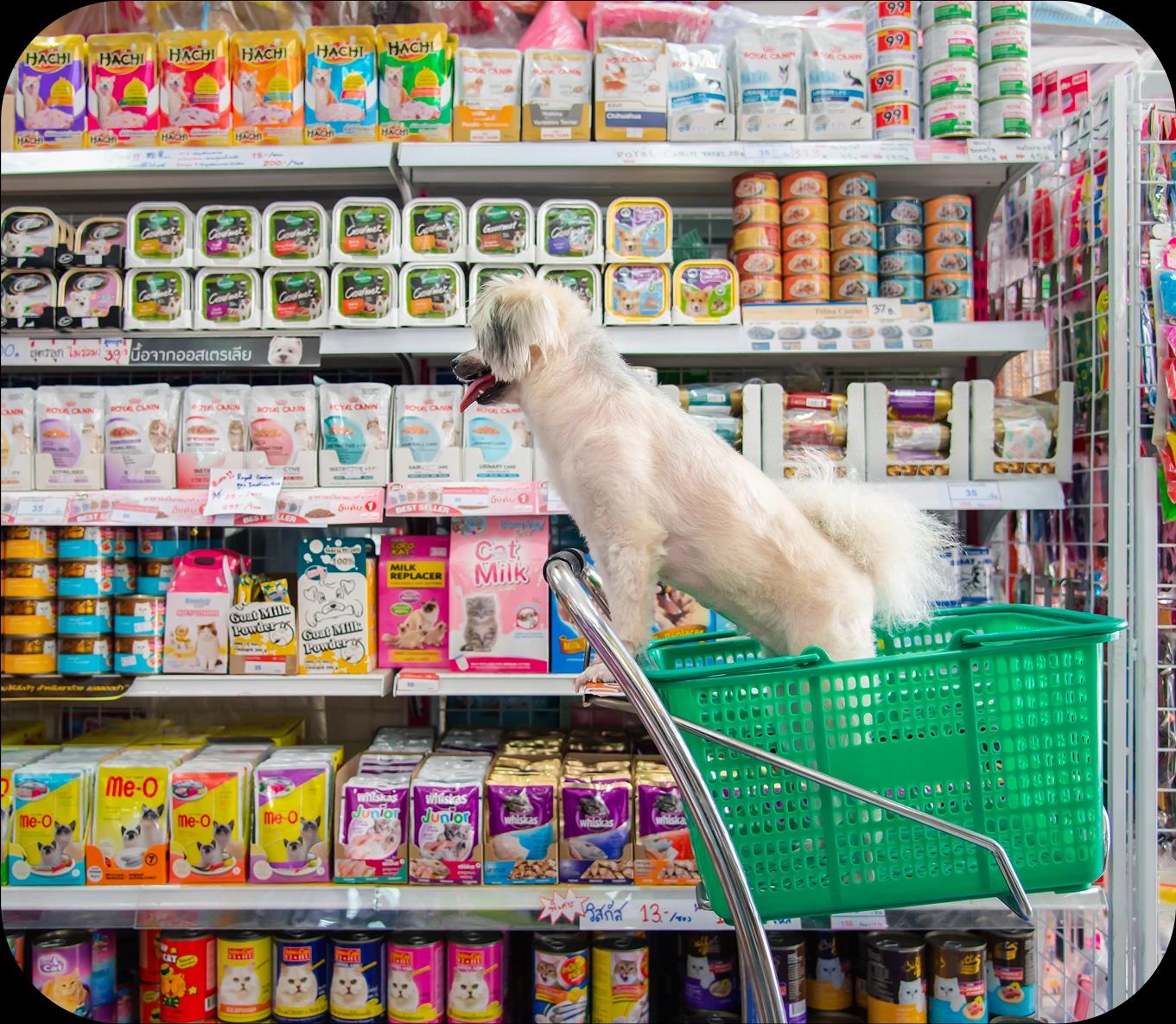 Never run out of pet essentials